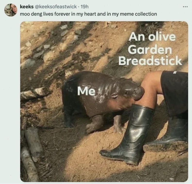 dang meme độc lạ