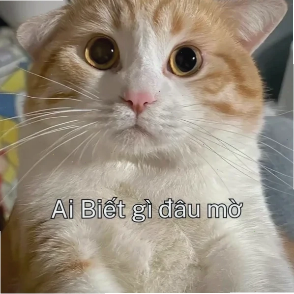 dầu ăn meme hài hước