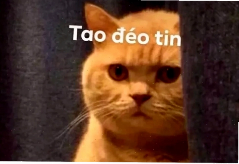 dđéo meme né thính