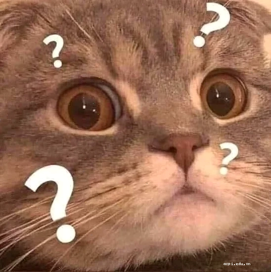 Độ lầy của đây là đâu tôi là ai meme