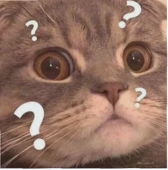 Độ lầy của đây là đâu tôi là ai meme