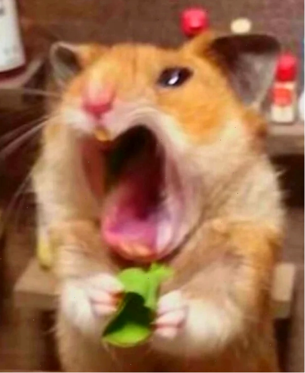 Đoạn meme hét vang dội