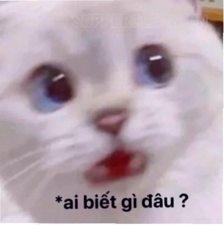Độc lạ đây là đâu tôi là ai meme