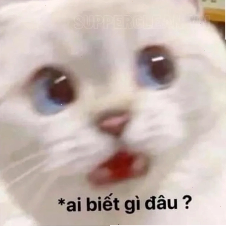 Độc lạ đây là đâu tôi là ai meme