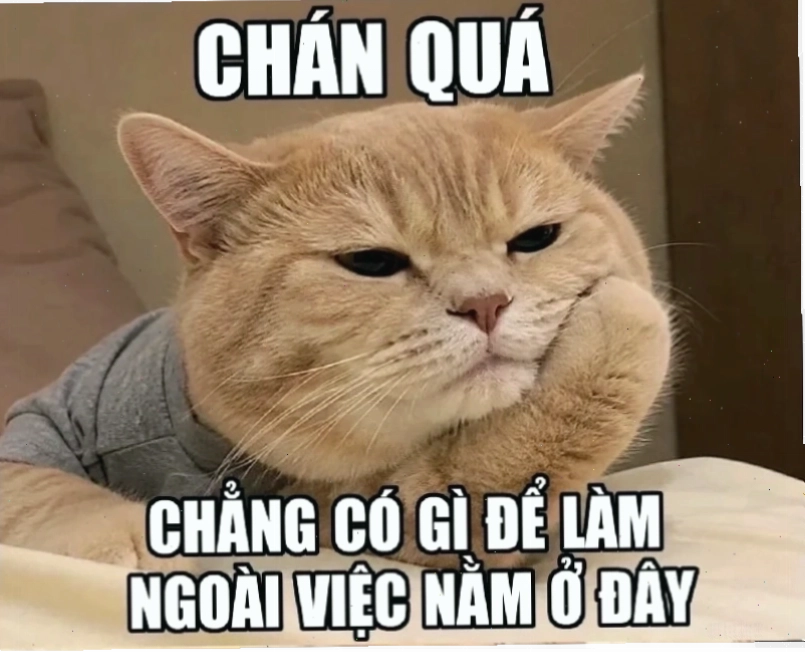 dối trá meme chất