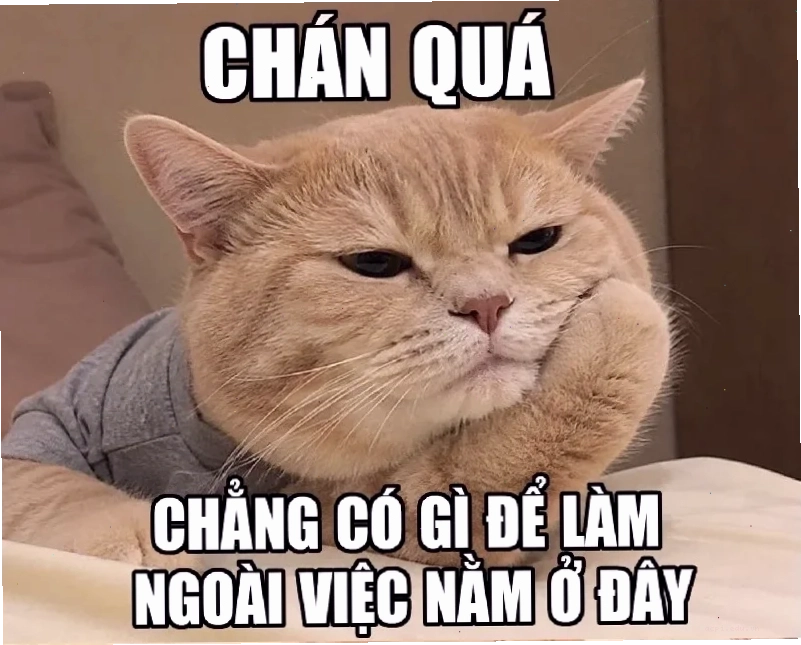 dối trá meme chất