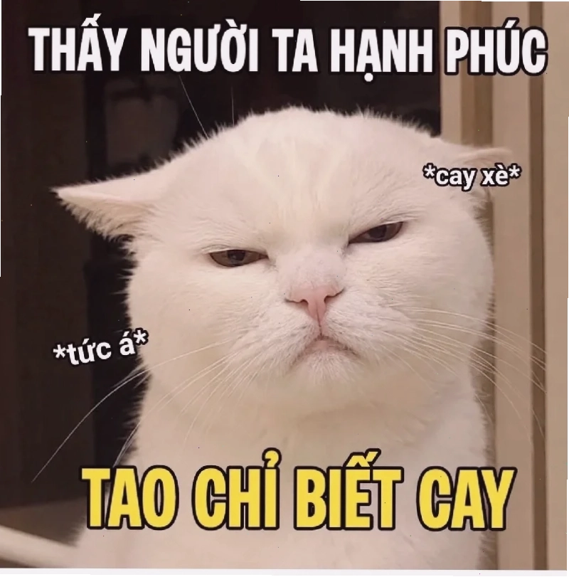 dối trá meme độc