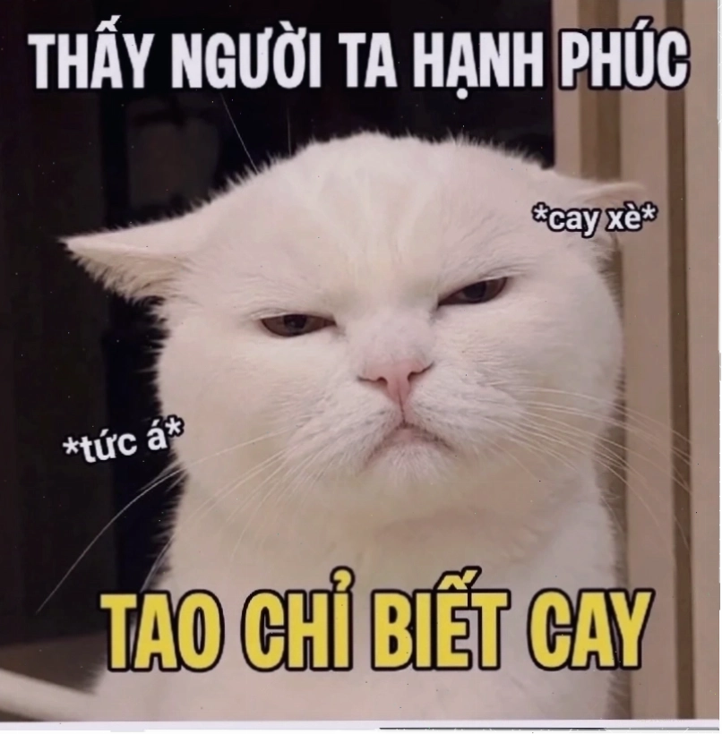 dối trá meme độc