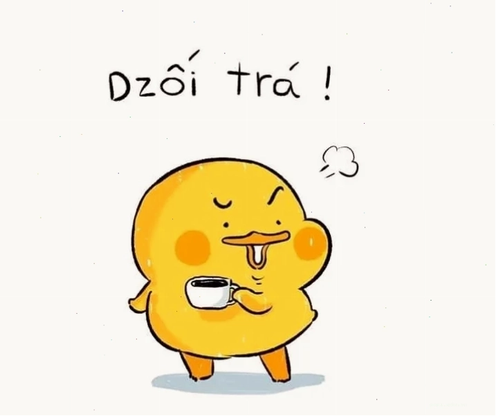 dối trá meme hài hước trên internet