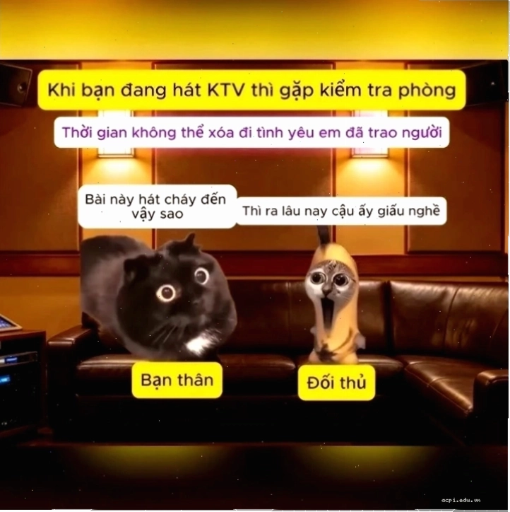 dối trá meme trend