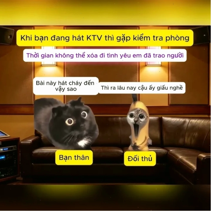 dối trá meme trend