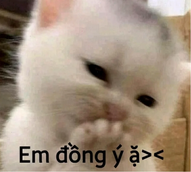 em đồng ý meme cực đáng yêu