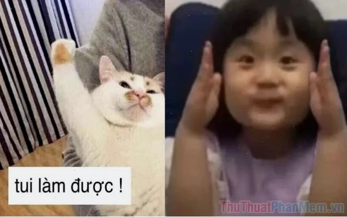 em đồng ý meme gật