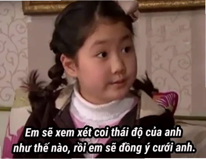 em đồng ý meme mèo