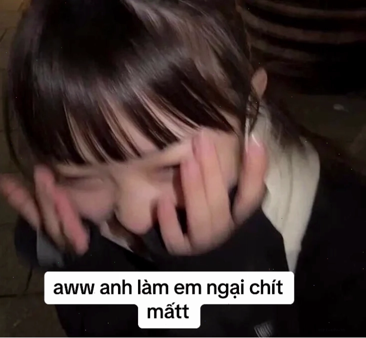 em đồng ý meme reaction