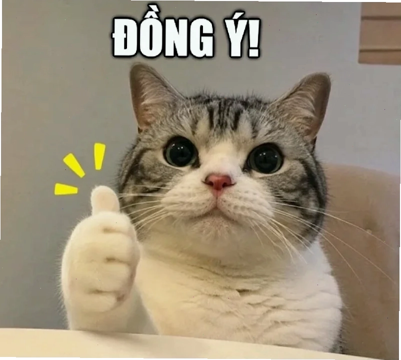 em đồng ý meme tỏ tình