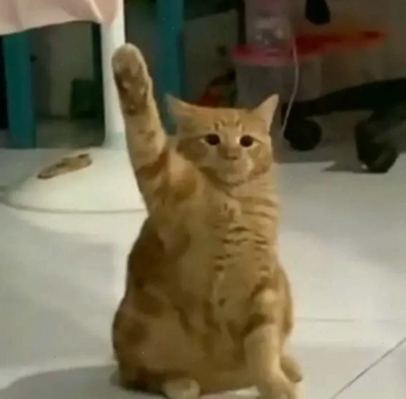 em đồng ý meme vui
