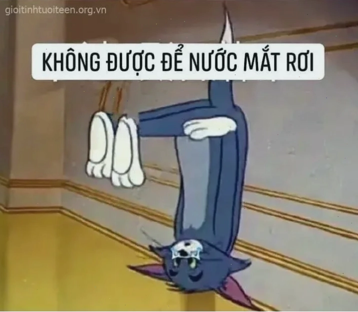 em đồng ý meme vui nhộn