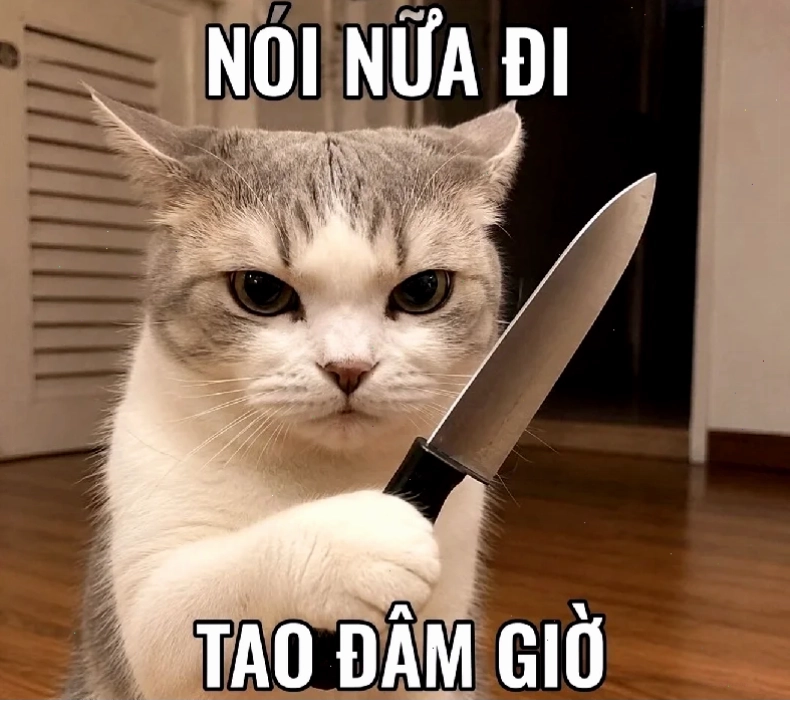 em sẵn sàng rồi meme