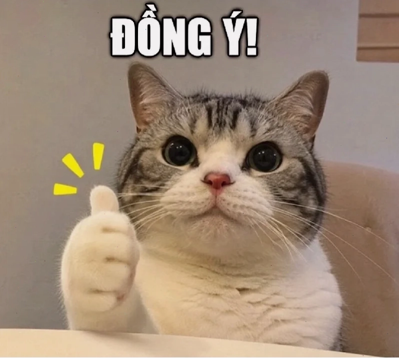 em sẵn sàng rồi meme
