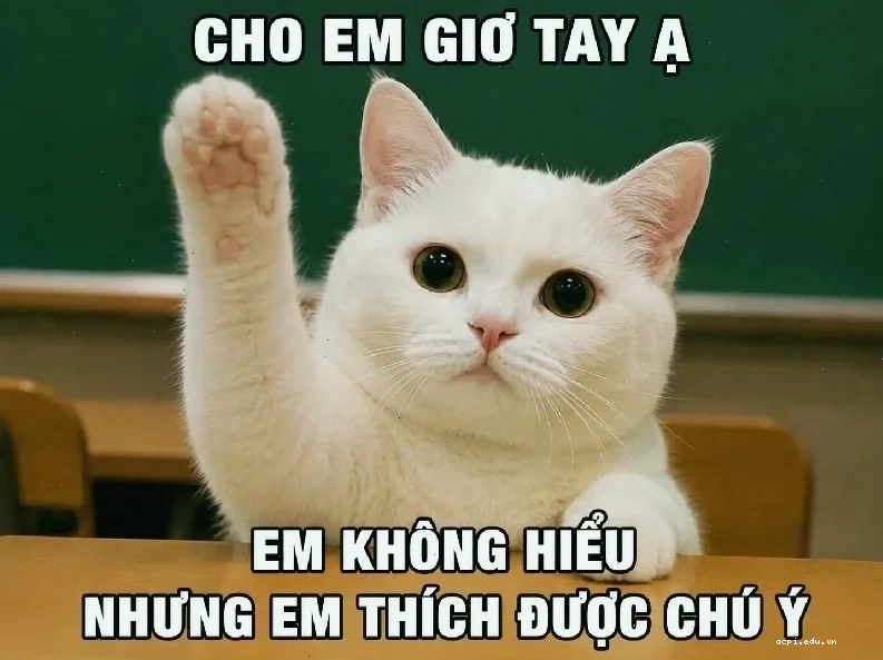 em sẵn sàng rồi meme