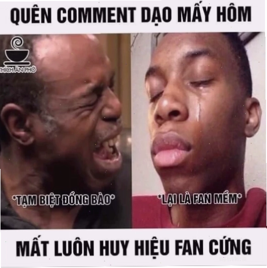 fan cứng meme