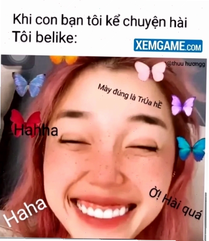 fan cứng meme