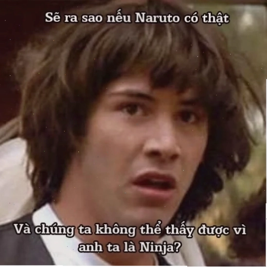 fan cứng meme