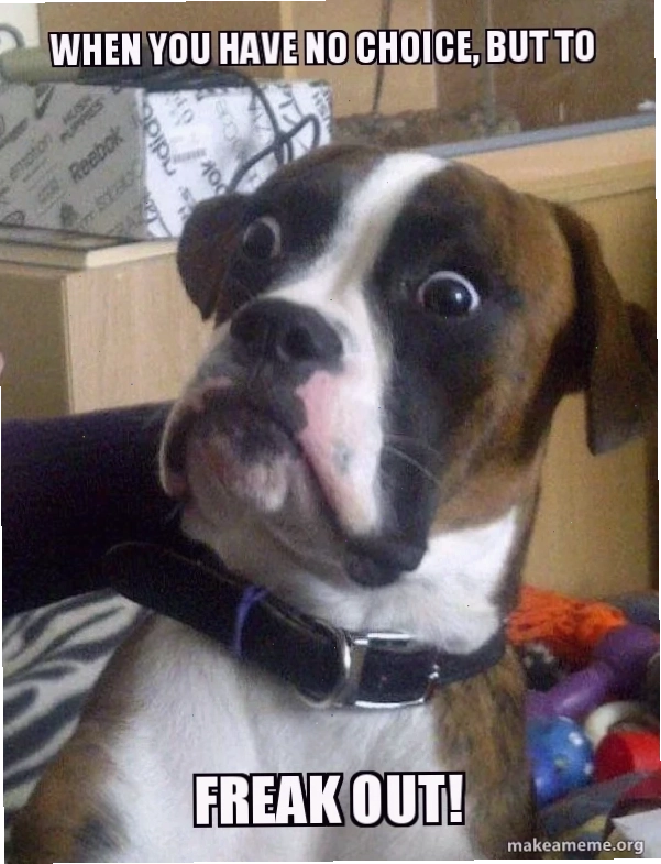 Meme hoảng loạn chuyển động freak out meme gif hài hước