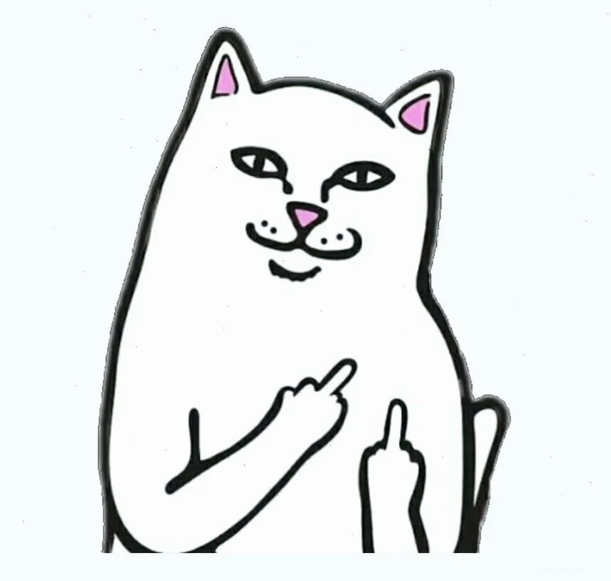 fuck u meme cuoi cung