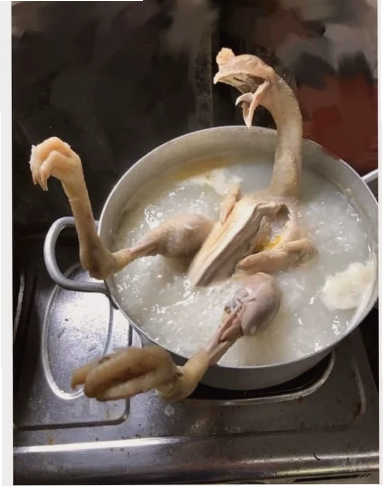 gà luộc meme