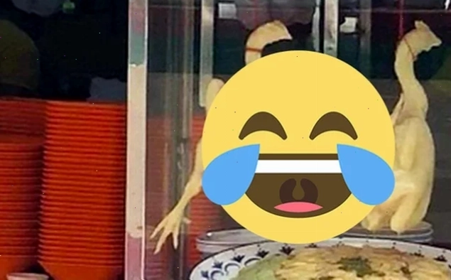 gà luộc meme