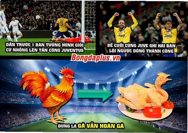gà luộc meme