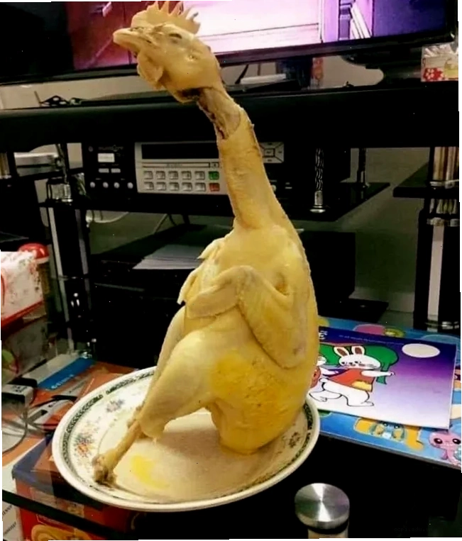 gà luộc meme hài hước