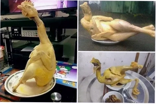 gà luộc meme với tạo dáng lạ