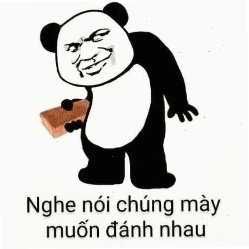 Gấu trúc chưa thấy tiên nữ hạ phàm