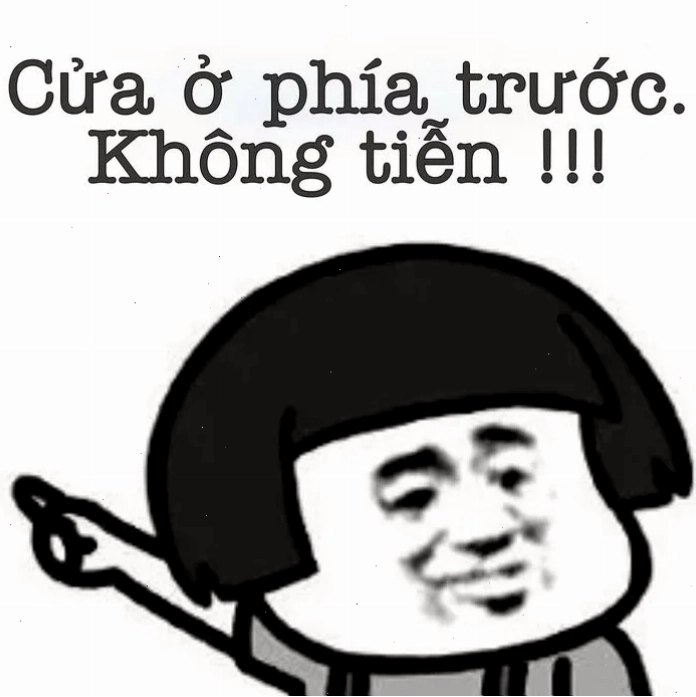 Gấu trúc không có tiền