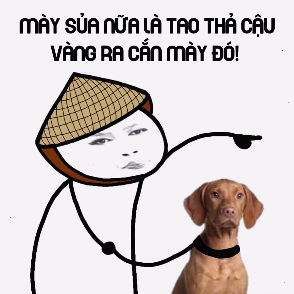 Gấu trúc não có vấn đề