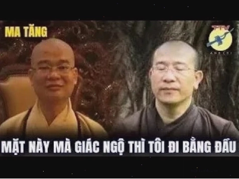 giác ngộ meme chân thực