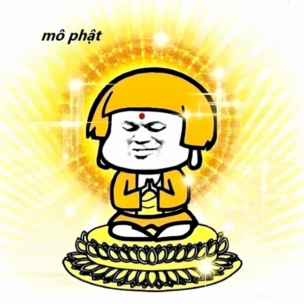 giác ngộ meme độc bản