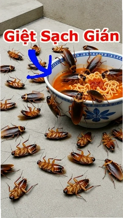 gián meme hài hước