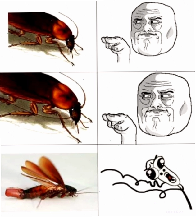 gián meme lãng mạn