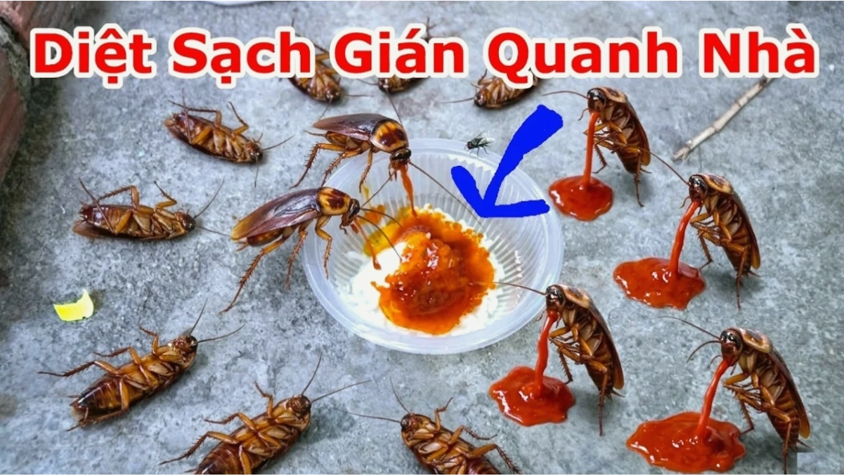 gián meme ngây thơ
