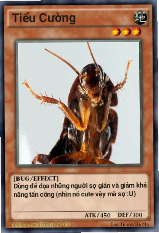 gián meme ngộ nghĩnh