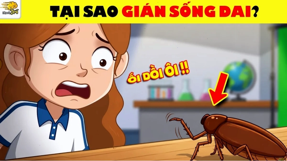 gián meme vui nhộn