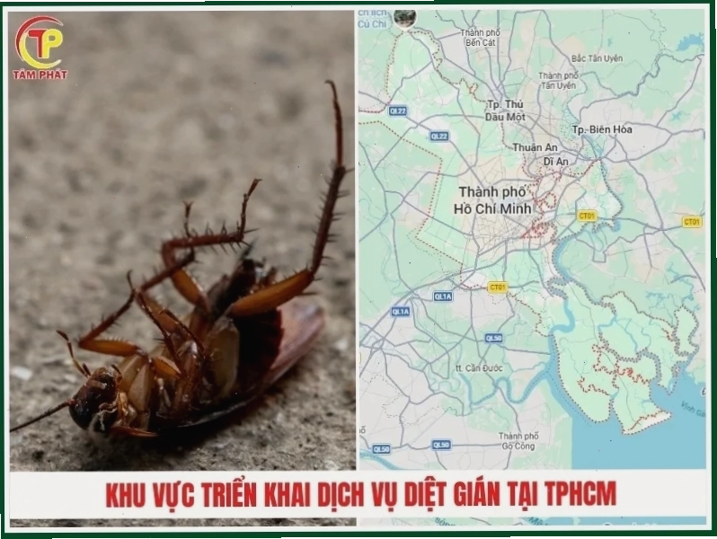 gián meme vui vẻ
