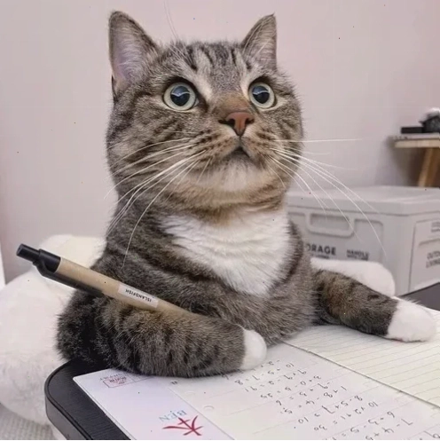 Giao diện phần mềm tạo meme hiện đại