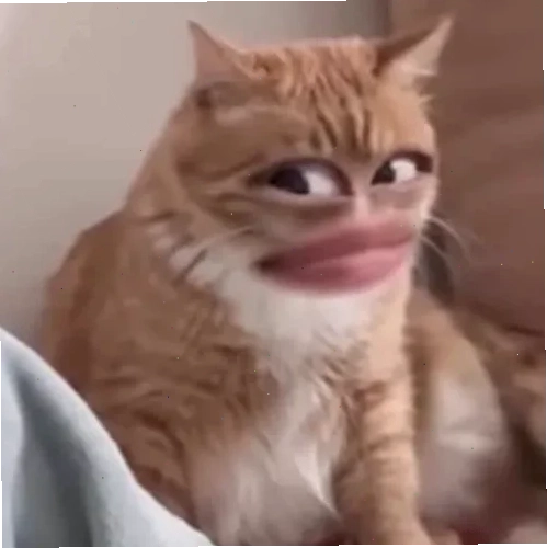 hả gì ai biết đâu meme bóng đá