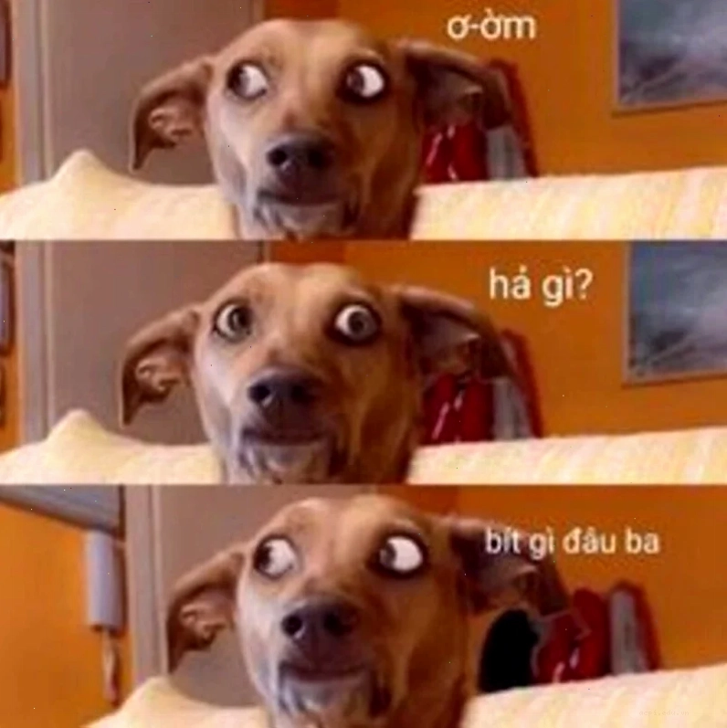 hả gì ai biết đâu meme cộng đồng