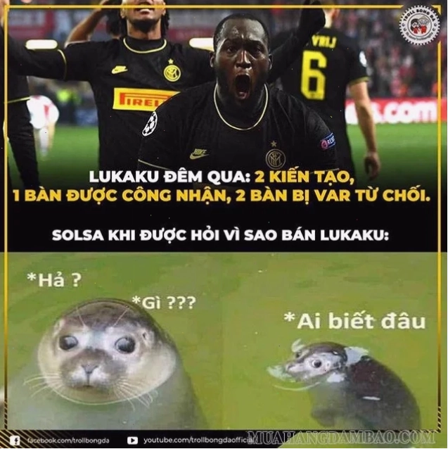 hả gì ai biết đâu meme độc lạ